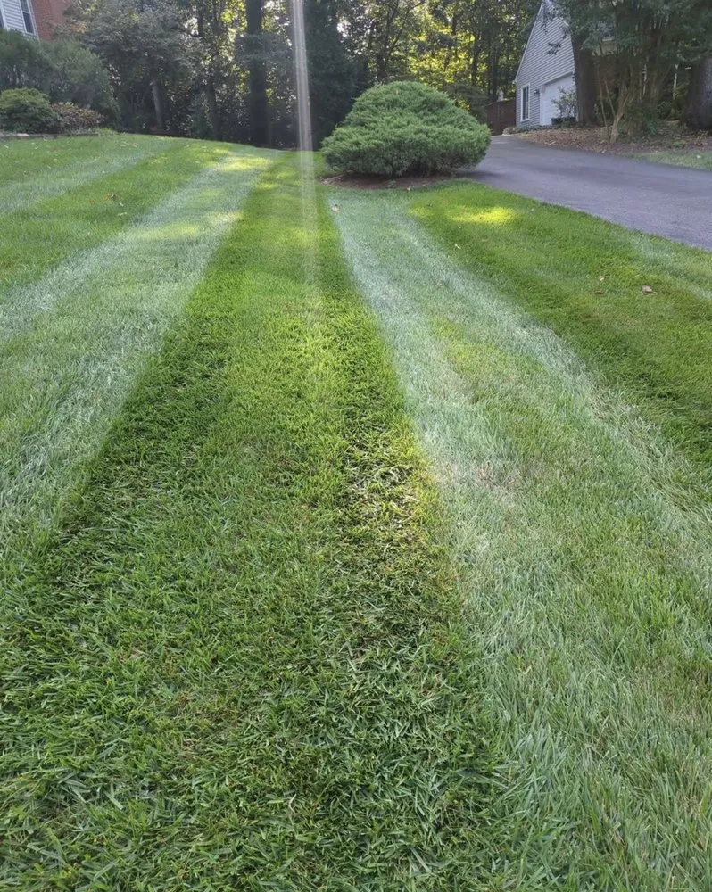 Top-rated residential landscaping near you across Radcliff, KY - Picket Fence Lawn Services