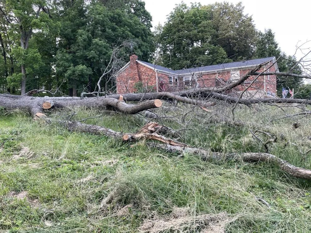 Professional lawn mowing service in Radcliff, KY - Picket Fence Lawn Services