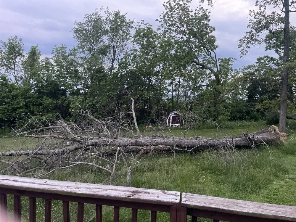 Top-rated residential landscaping near you across Radcliff, KY - Picket Fence Lawn Services