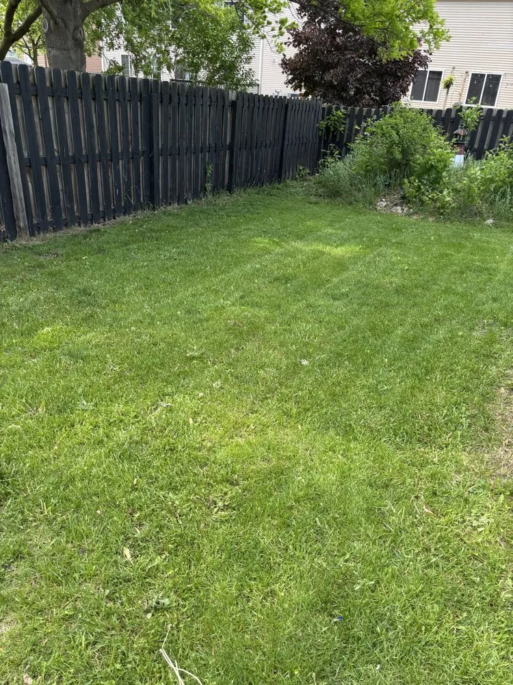 Professional yard cleanup service experts serving Hampshire, IL - Pickett’s Lawncare