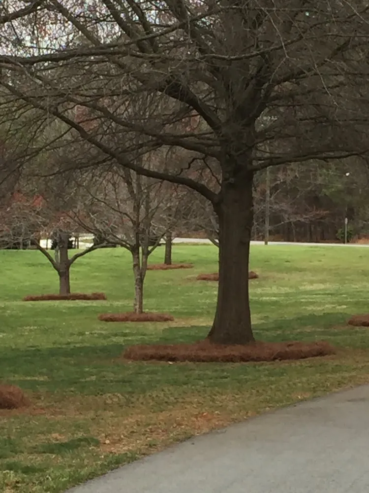 Affordable residential landscaping for beautiful yards across Clemmons, NC - Pickler Property Management Landscaping