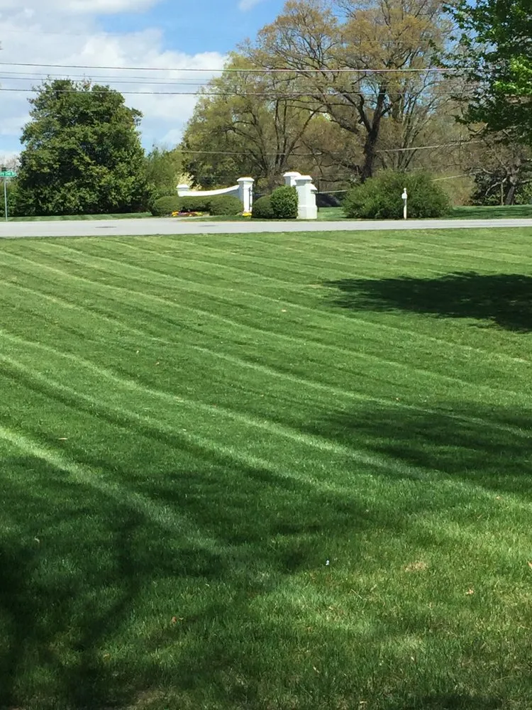 Expert lawn care service in Clemmons, NC - Pickler Property Management Landscaping
