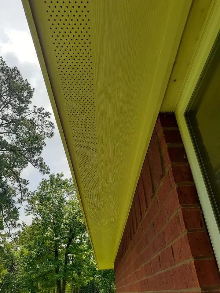 Top-rated yard cleanup service experts serving College Station, TX - Pickney's Lawnservice and More