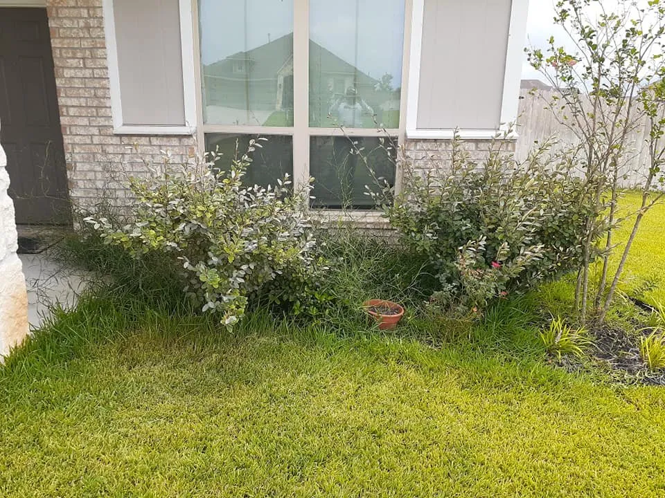 Trusted residential landscaping experts serving College Station, TX - Pickney's Lawnservice and More