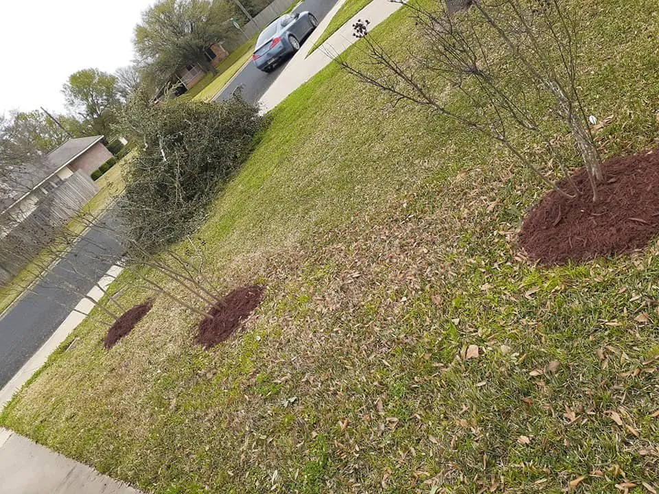 Custom lawn mowing service for homes across College Station, TX - Pickney's Lawnservice and More