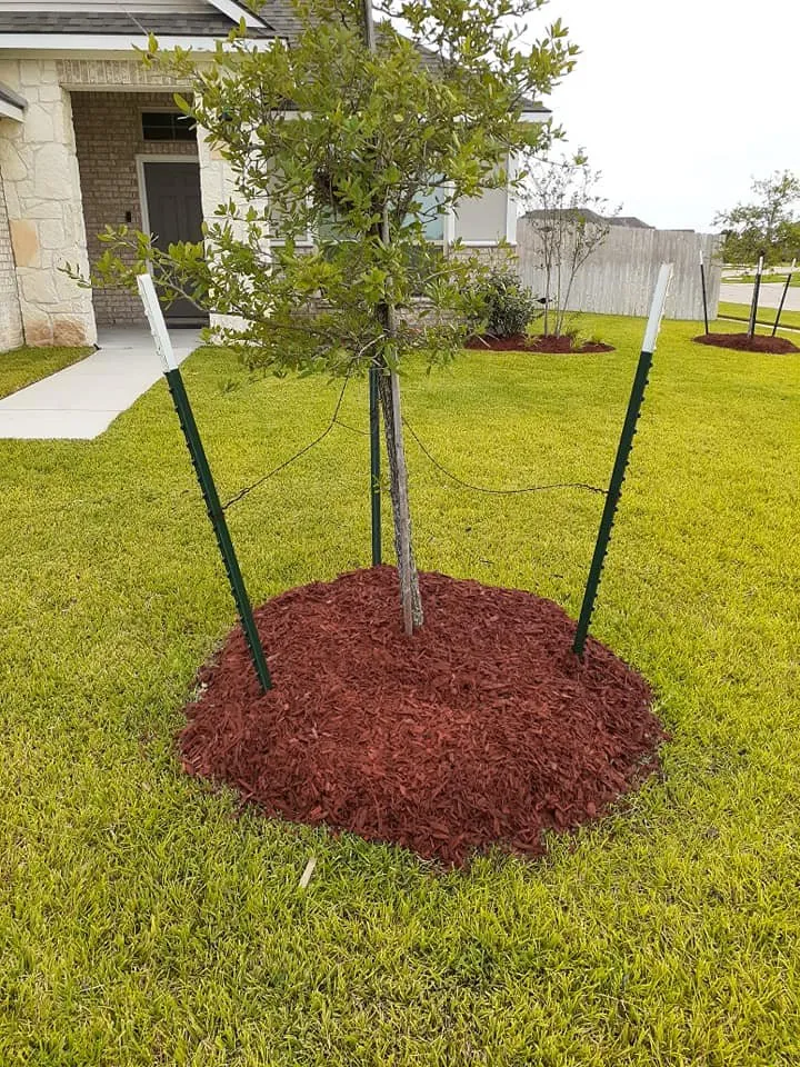 Trusted yard maintenance for outdoor upgrades across College Station, TX - Pickney's Lawnservice and More