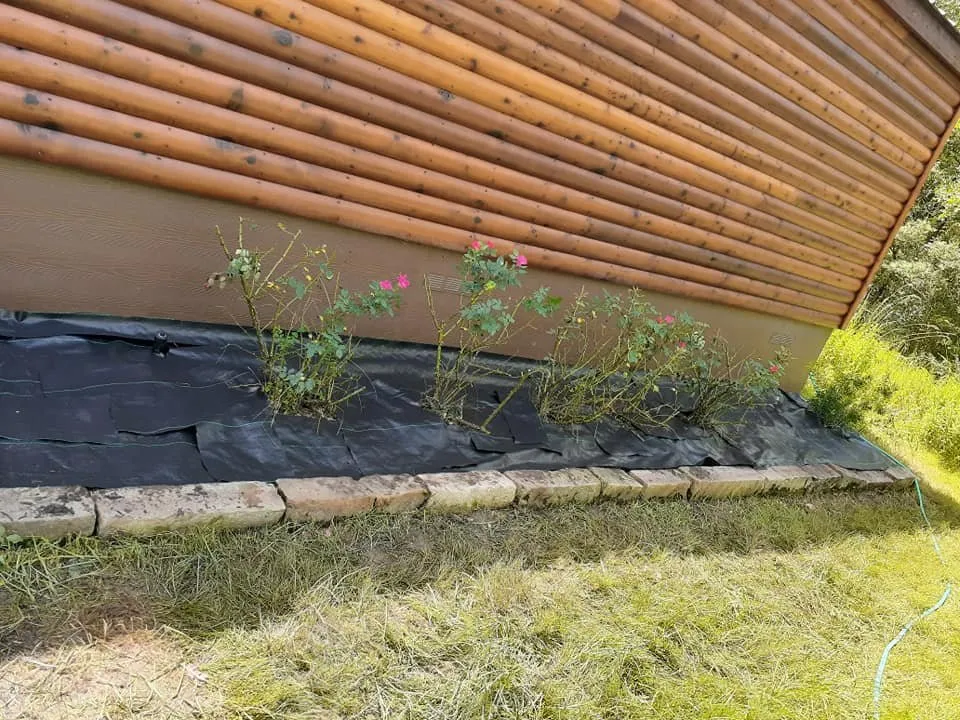 Affordable residential landscaping in College Station, TX - Pickney's Lawnservice and More