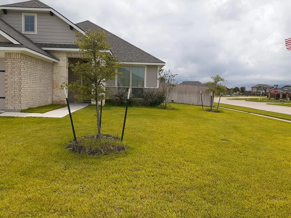 Professional yard maintenance experts serving College Station, TX - Pickney's Lawnservice and More