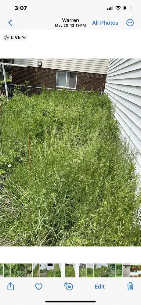 Trusted landscape design experts serving Harrison Township, MI - Picks Yard Care