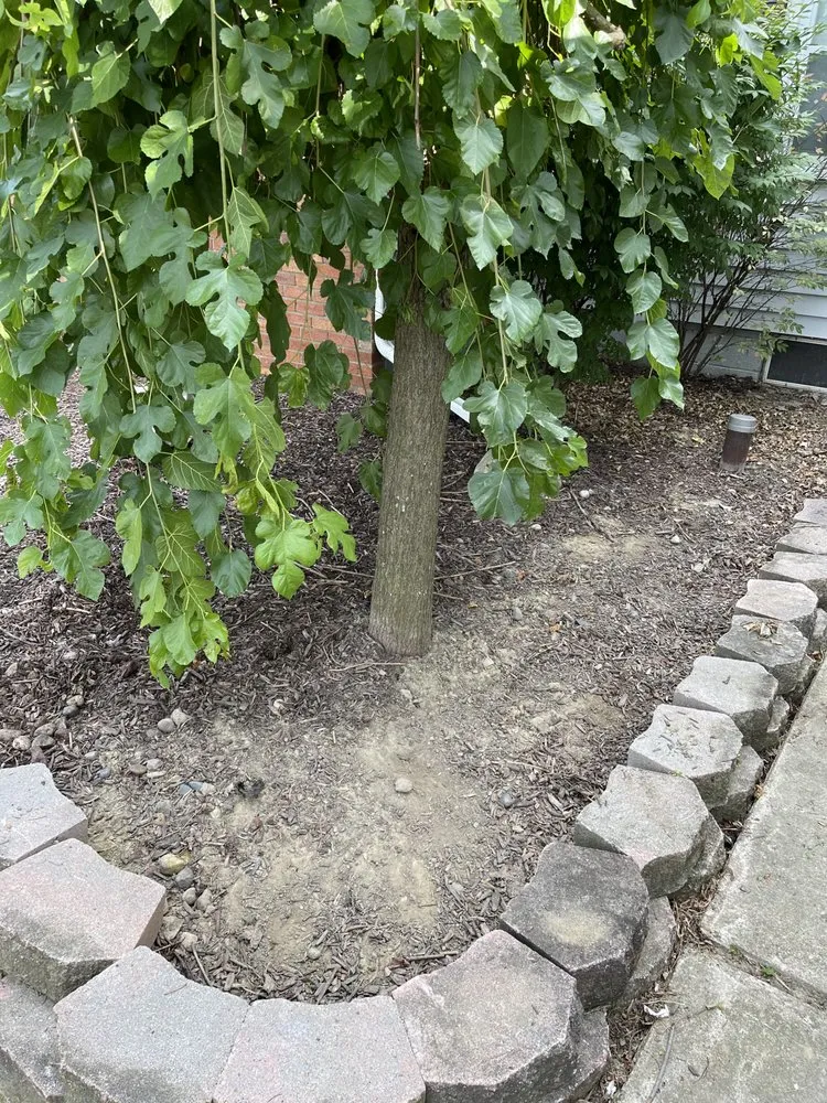 Reliable yard cleanup service for homes in Harrison Township, MI by Picks Yard Care