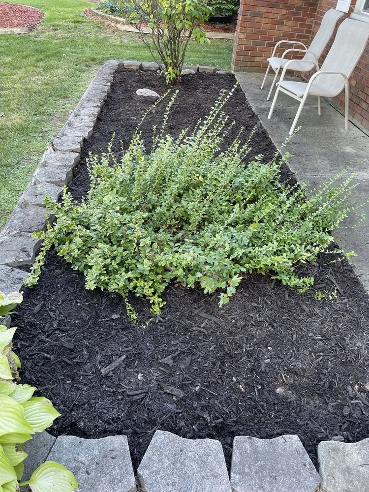 Expert lawn care service in Harrison Township, MI by Picks Yard Care