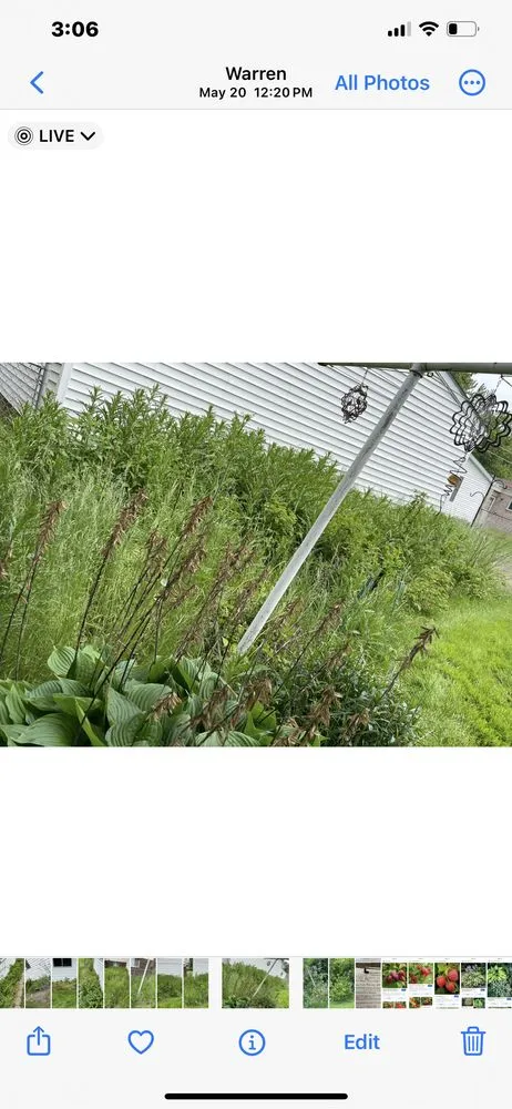 Custom landscape installation in Harrison Township, MI by Picks Yard Care