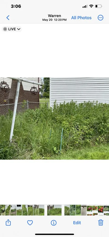 Local landscape installation in Harrison Township, MI - Picks Yard Care