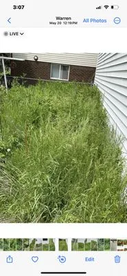 Picks Yard Care Logo