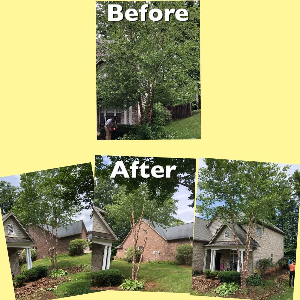 Top-rated garden landscaping near you in Advance, NC by Picky Pike's Outdoor Solutions