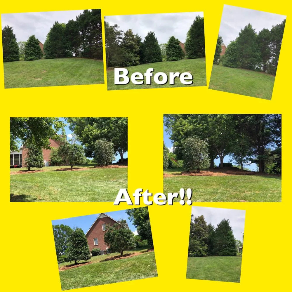 Trusted landscape design for outdoor upgrades across Advance, NC - Picky Pike's Outdoor Solutions