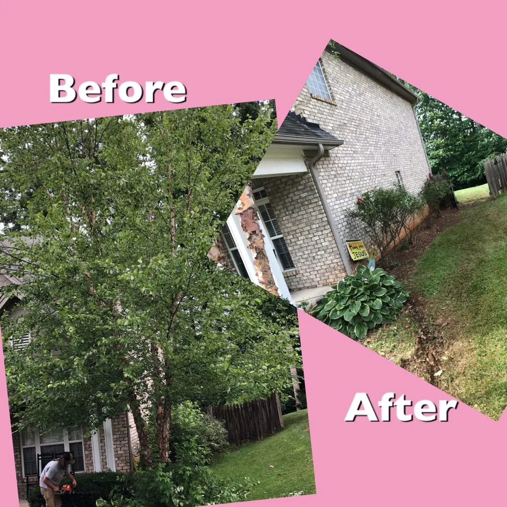 Top-rated yard cleanup service for homes in Advance, NC by Picky Pike's Outdoor Solutions