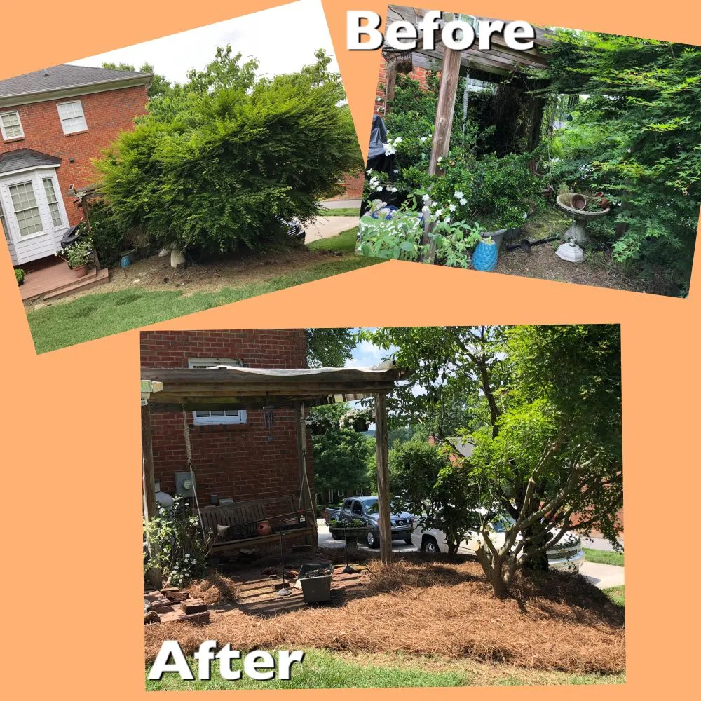 Reliable landscape design for year-round maintenance across Advance, NC - Picky Pike's Outdoor Solutions