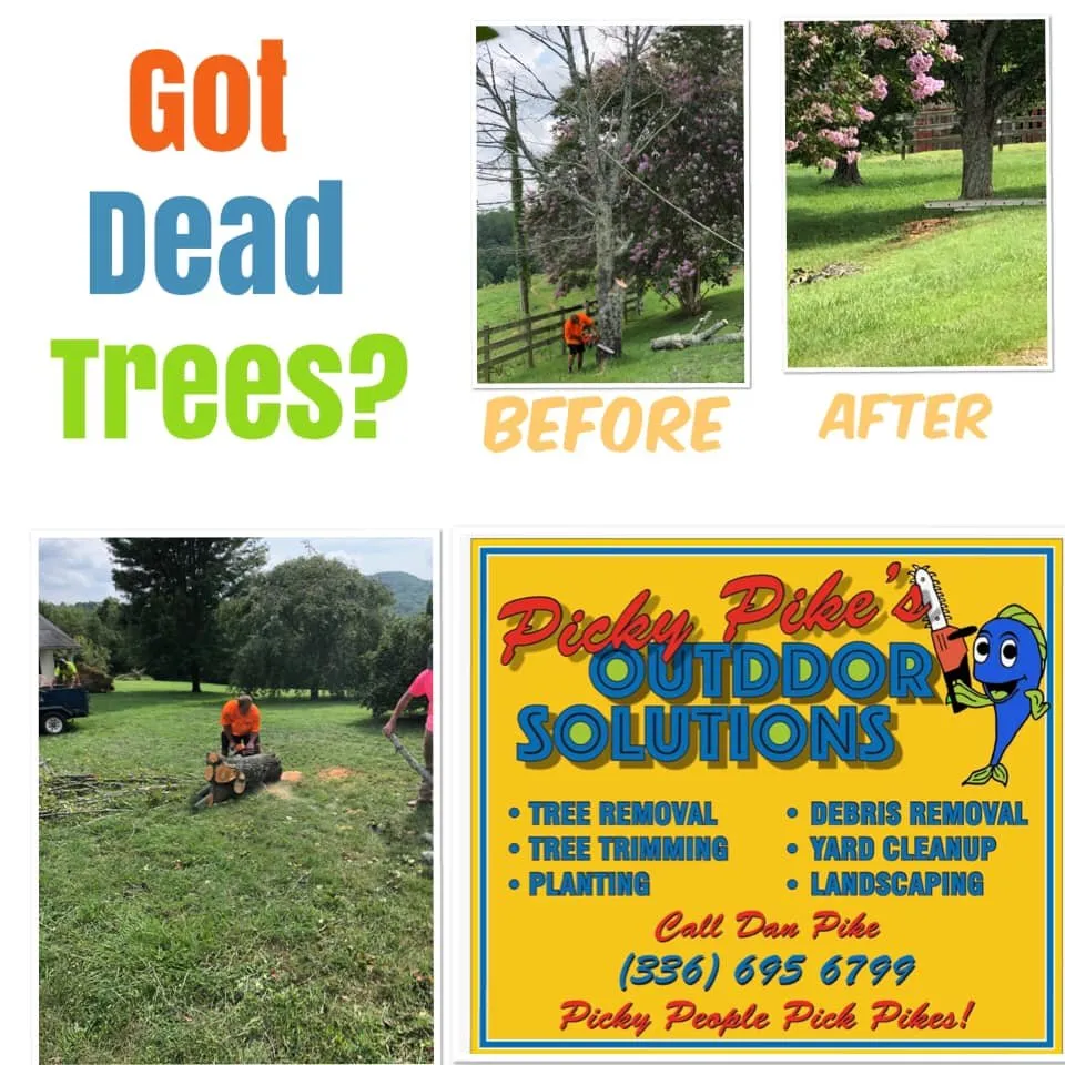 Custom yard maintenance in Advance, NC by Picky Pike's Outdoor Solutions