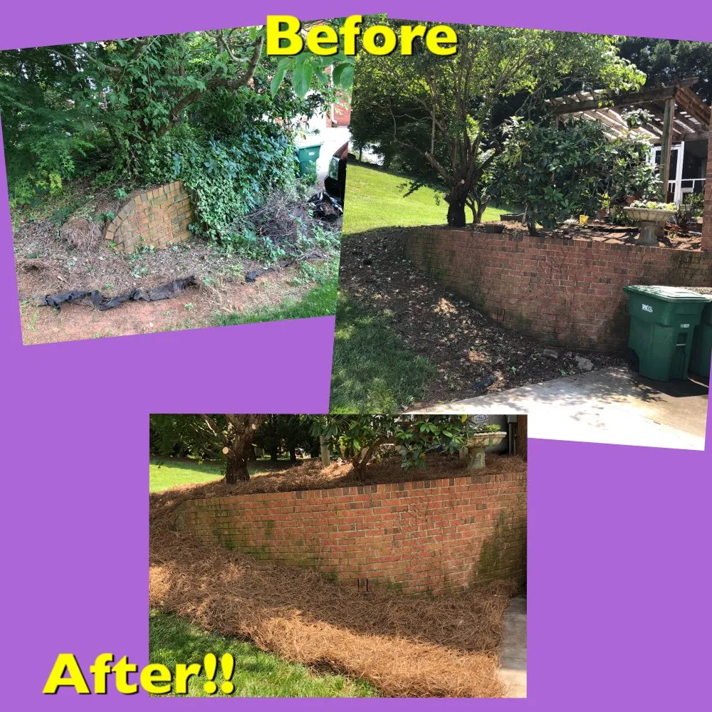 Local yard cleanup service with custom design in Advance, NC by Picky Pike's Outdoor Solutions