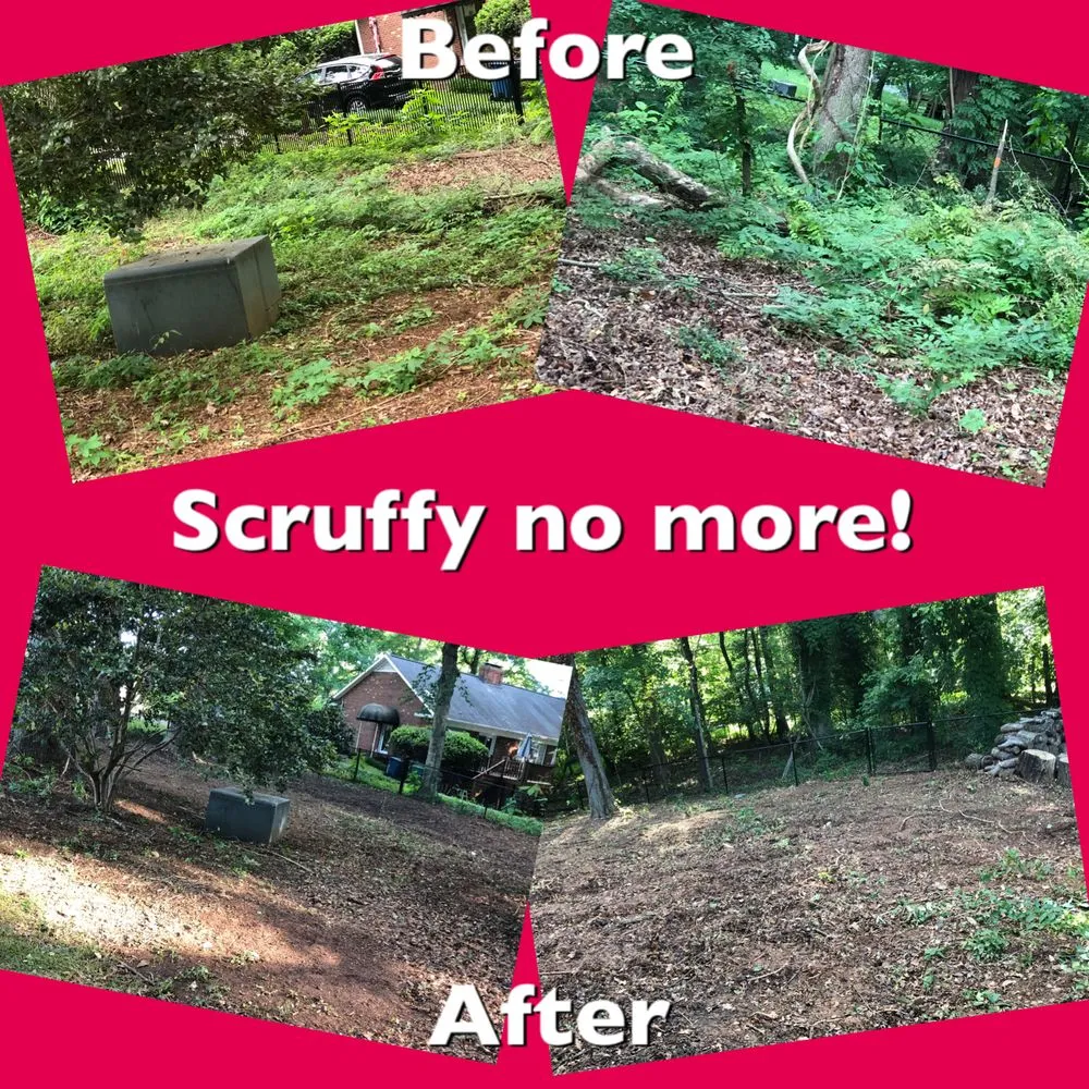 Trusted outdoor landscaping for homes across Advance, NC - Picky Pike's Outdoor Solutions