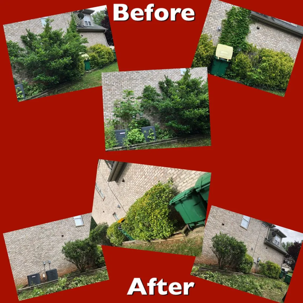 Top-rated yard cleanup service experts serving Advance, NC - Picky Pike's Outdoor Solutions