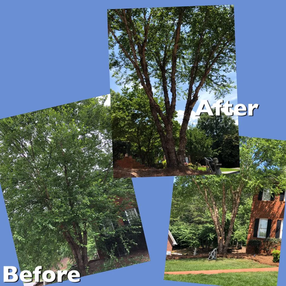 Professional lawn care service for beautiful yards in Advance, NC by Picky Pike's Outdoor Solutions