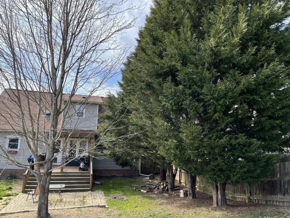 Reliable landscaping services experts serving Advance, NC - Picky Pike's Outdoor Solutions