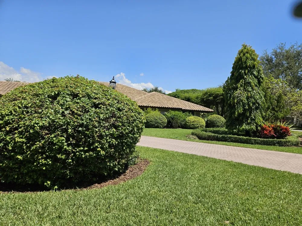 Local outdoor landscaping in Miami, FL - Pico's Lawn and Landscaping