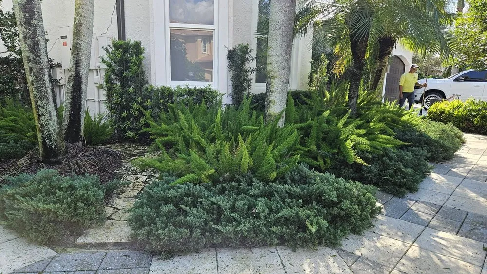 Top-rated lawn mowing service in Miami, FL by Pico's Lawn and Landscaping