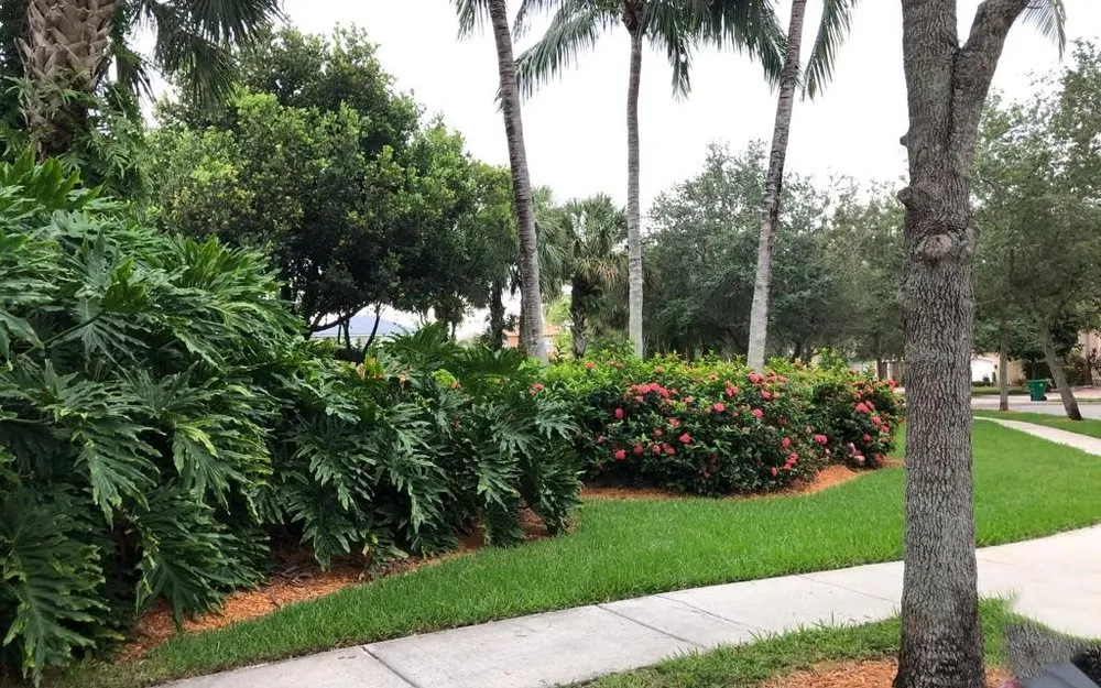 Local garden landscaping in Miami, FL by Pico's Lawn and Landscaping