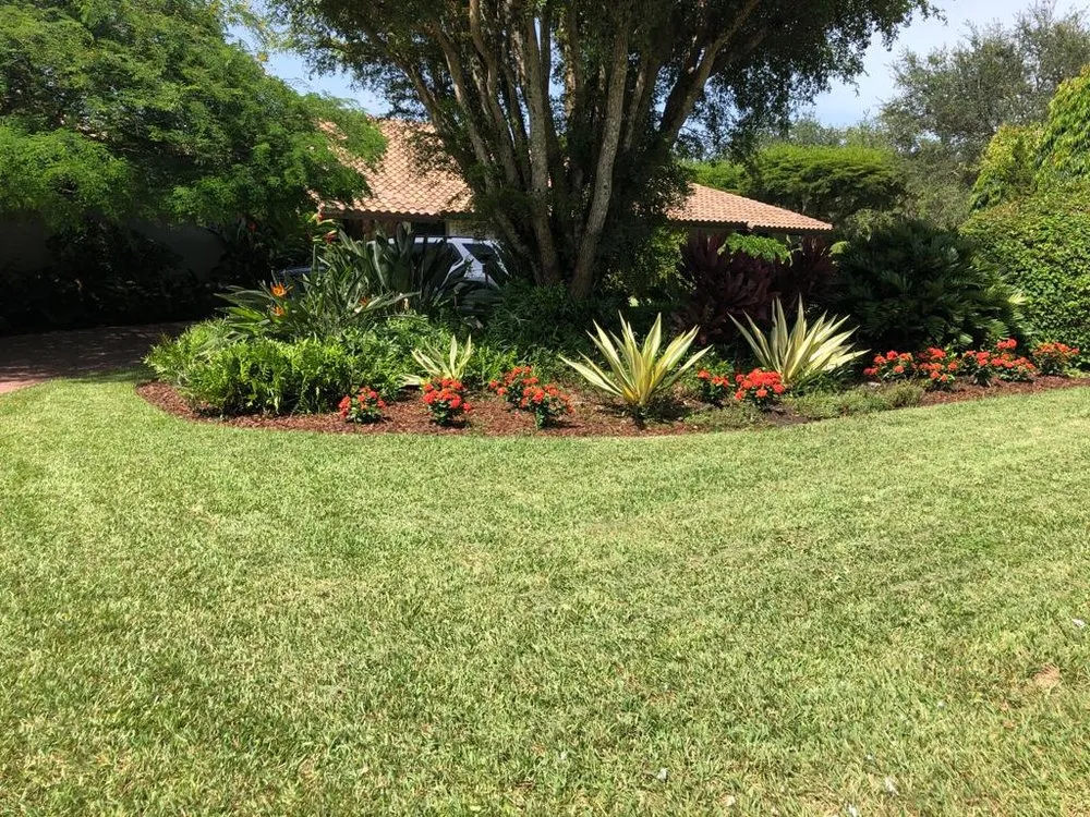 Reliable lawn care service experts serving Miami, FL - Pico's Lawn and Landscaping