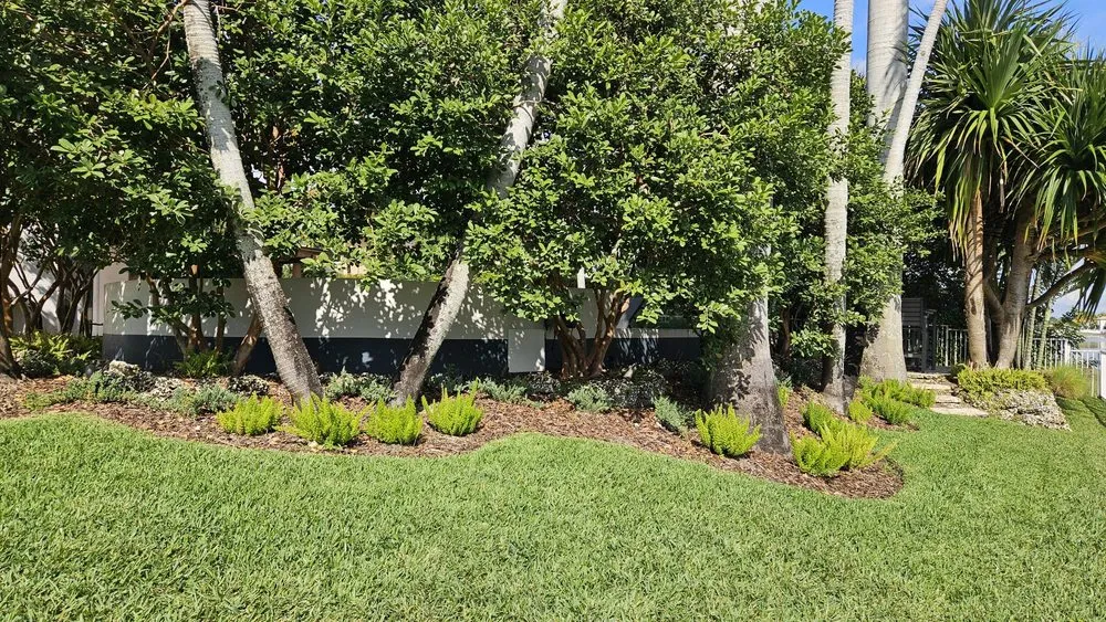 Top-rated yard maintenance experts serving Miami, FL - Pico's Lawn and Landscaping