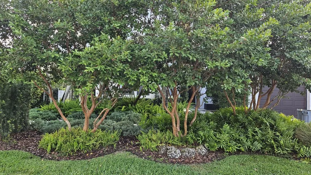 Expert landscape installation with custom design across Miami, FL - Pico's Lawn and Landscaping