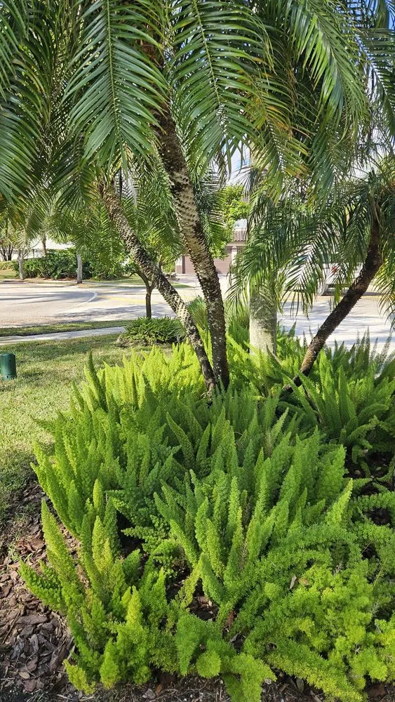 Expert landscape installation for outdoor upgrades across Miami, FL - Pico's Lawn and Landscaping