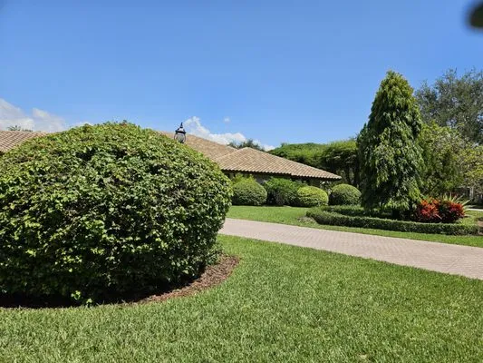 Pico's Lawn and Landscaping Logo