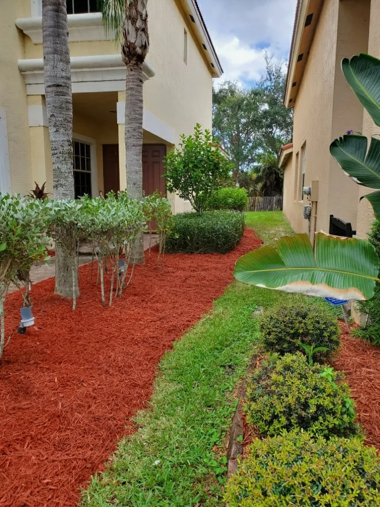 Trusted yard cleanup service for homes across Port St. Lucie, FL - Pico's lawn and maintenance