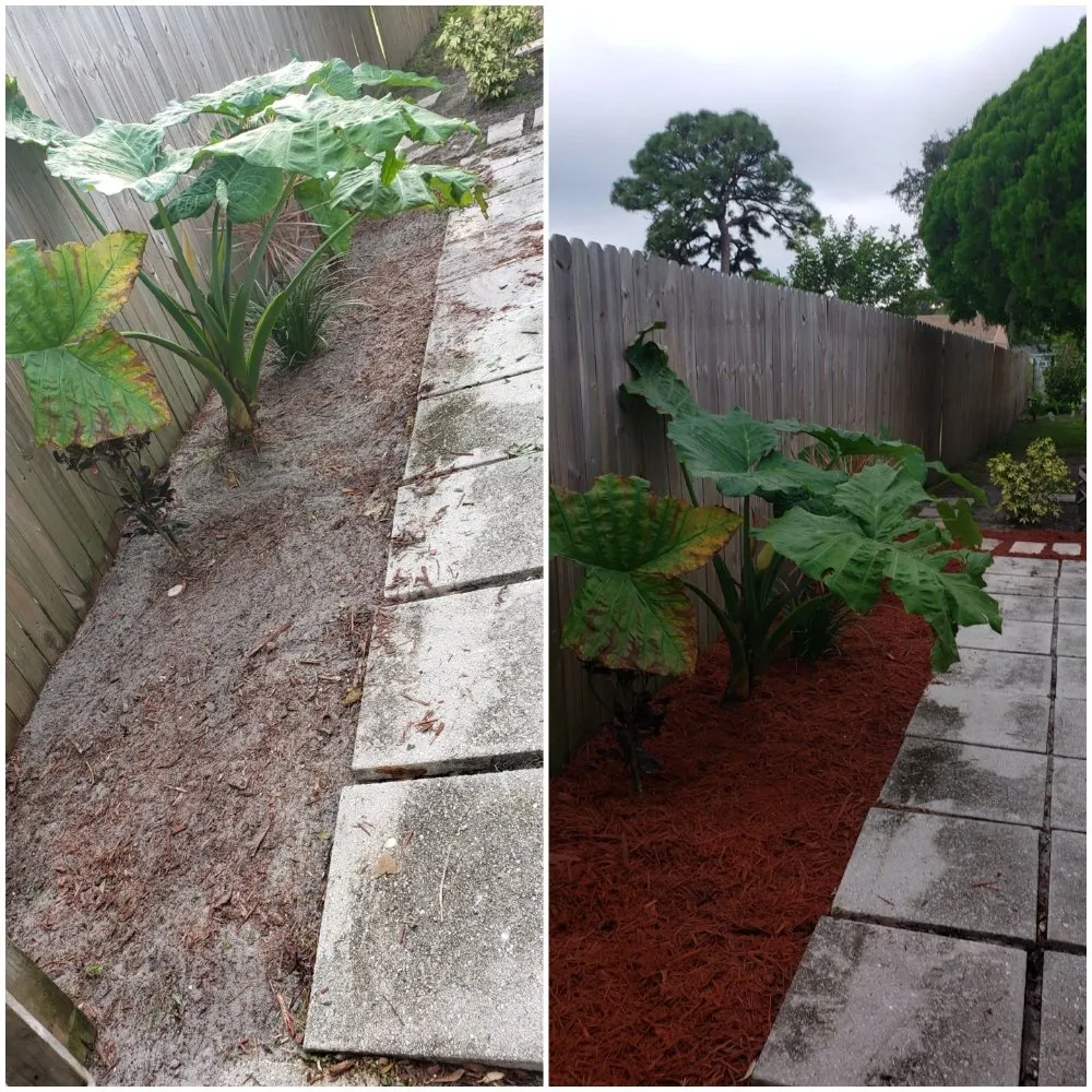 Affordable yard maintenance in Port St. Lucie, FL - Pico's lawn and maintenance