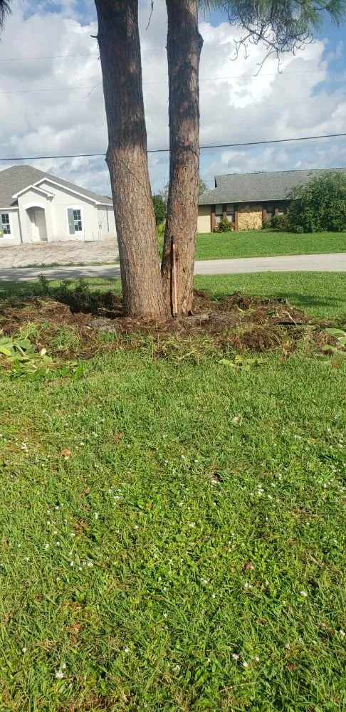 Professional yard cleanup service near you in Port St. Lucie, FL by Pico's lawn and maintenance