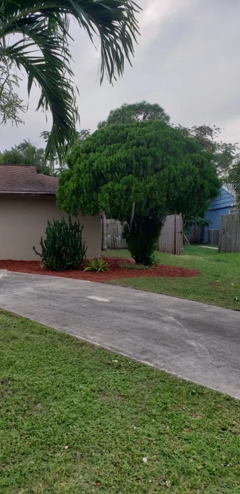 Expert garden landscaping with custom design in Port St. Lucie, FL by Pico's lawn and maintenance