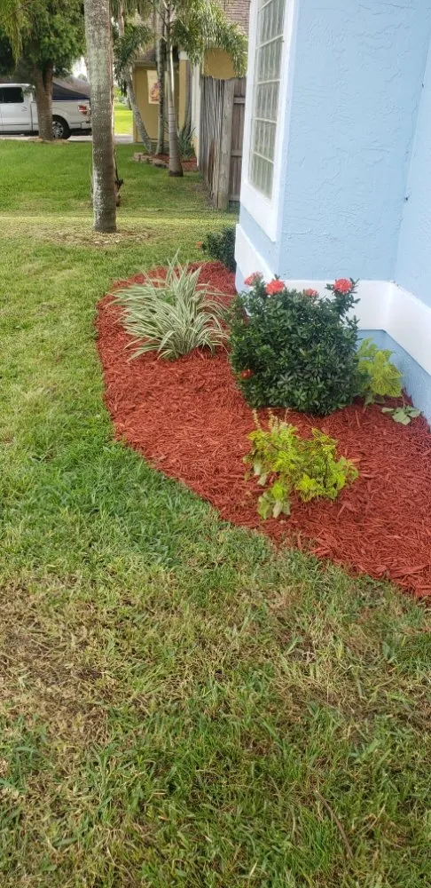 Professional lawn care service in Port St. Lucie, FL - Pico's lawn and maintenance