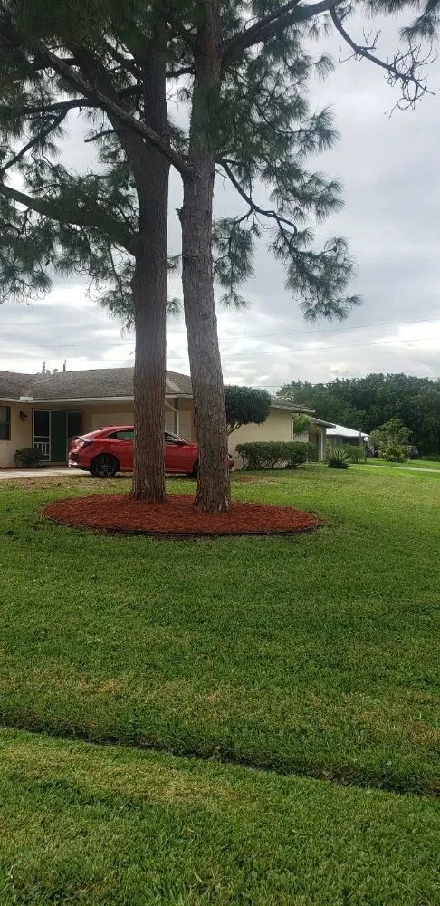 Top-rated lawn mowing service experts serving Port St. Lucie, FL - Pico's lawn and maintenance