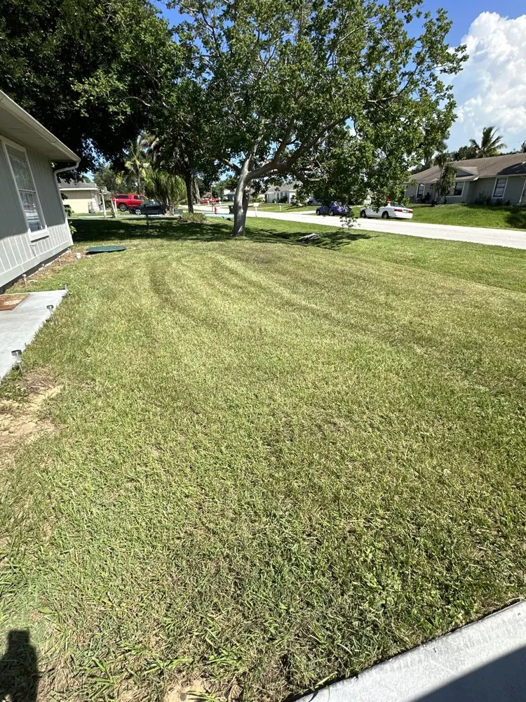 Custom yard cleanup service for year-round maintenance across Port St. Lucie, FL - Pico's lawn and maintenance