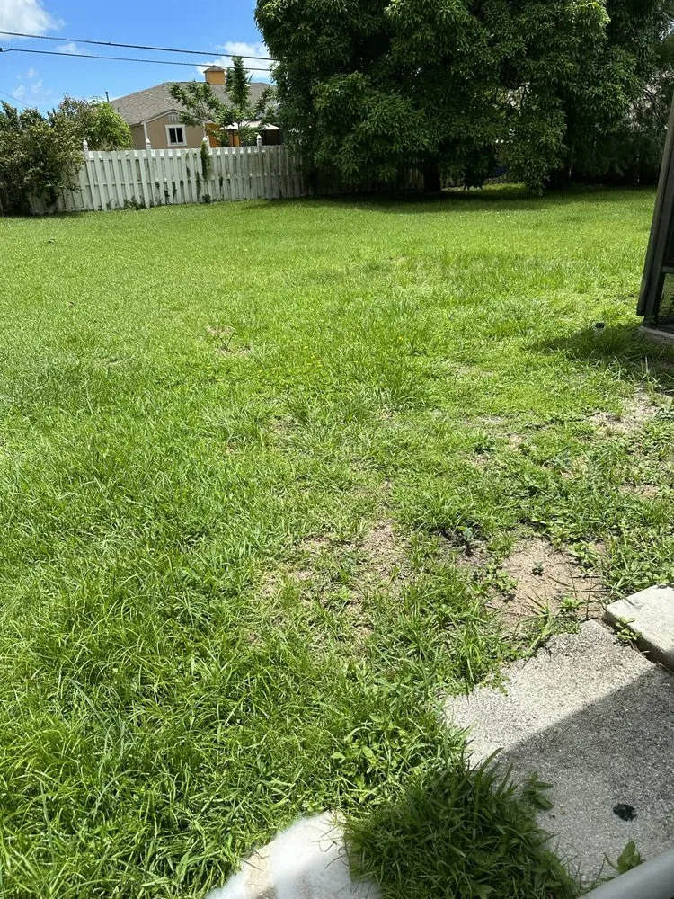 Professional yard cleanup service for outdoor upgrades across Port St. Lucie, FL - Pico's lawn and maintenance