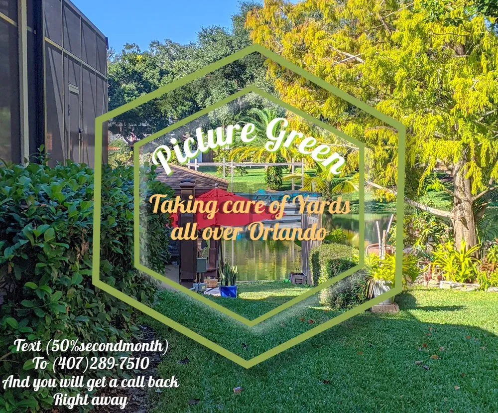 Professional landscaping services in Orlovista, FL by Picture Green Lawn Care