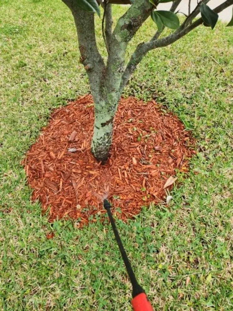 Professional landscape installation for outdoor upgrades across Orlovista, FL - Picture Green Lawn Care