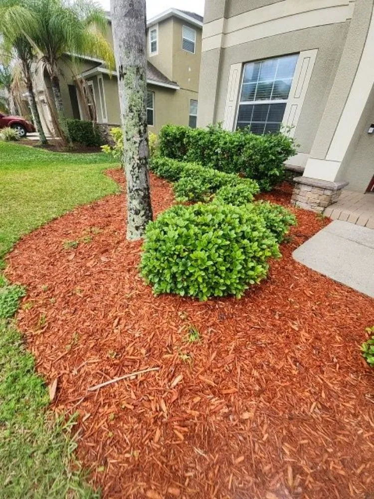 Trusted lawn care service in Orlovista, FL - Picture Green Lawn Care