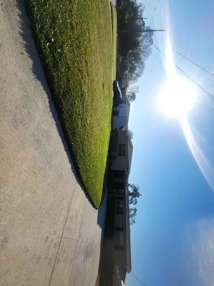 Custom garden landscaping for residential properties in Orlovista, FL by Picture Green Lawn Care