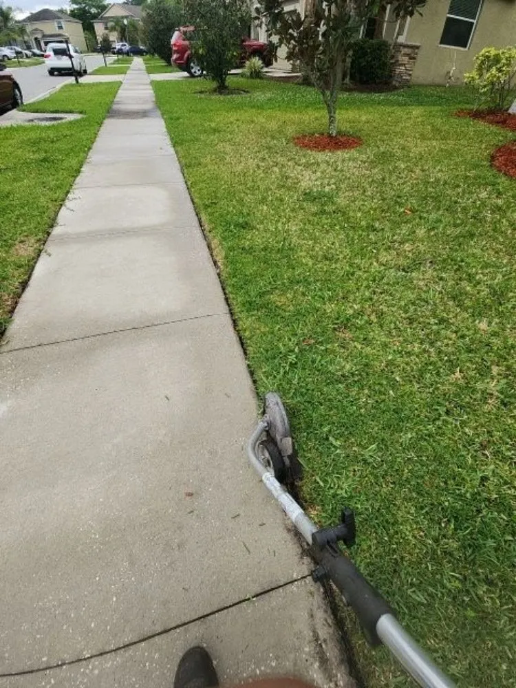 Affordable yard cleanup service experts serving Orlovista, FL - Picture Green Lawn Care