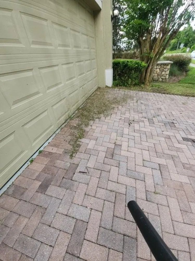 Top-rated landscaping services experts serving Orlovista, FL - Picture Green Lawn Care